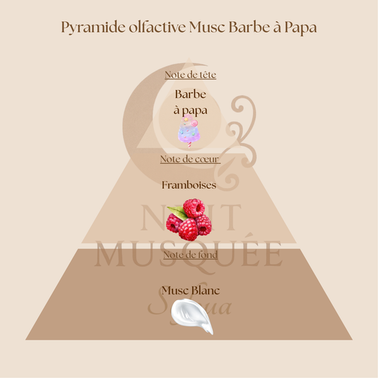 Musc Barbe à Papa