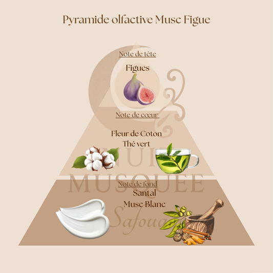 Musc Figue et Fleur de Coton