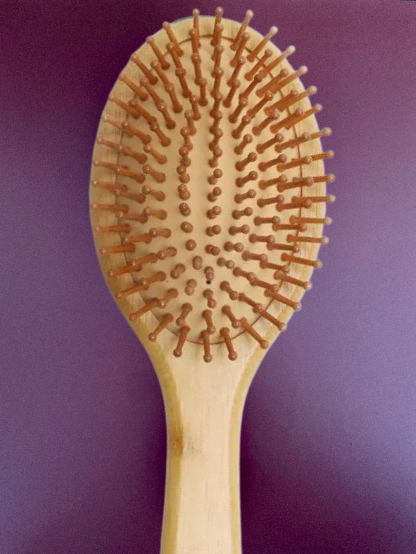 Brosse à Cheveux