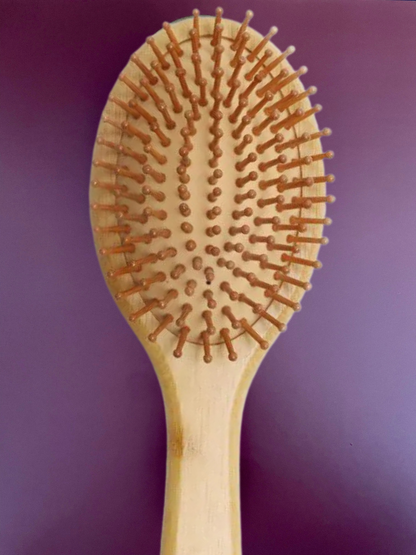 Brosse à Cheveux